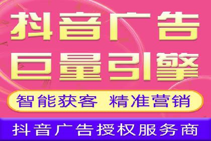 SEM广告案例：数据分析驱动营销决策